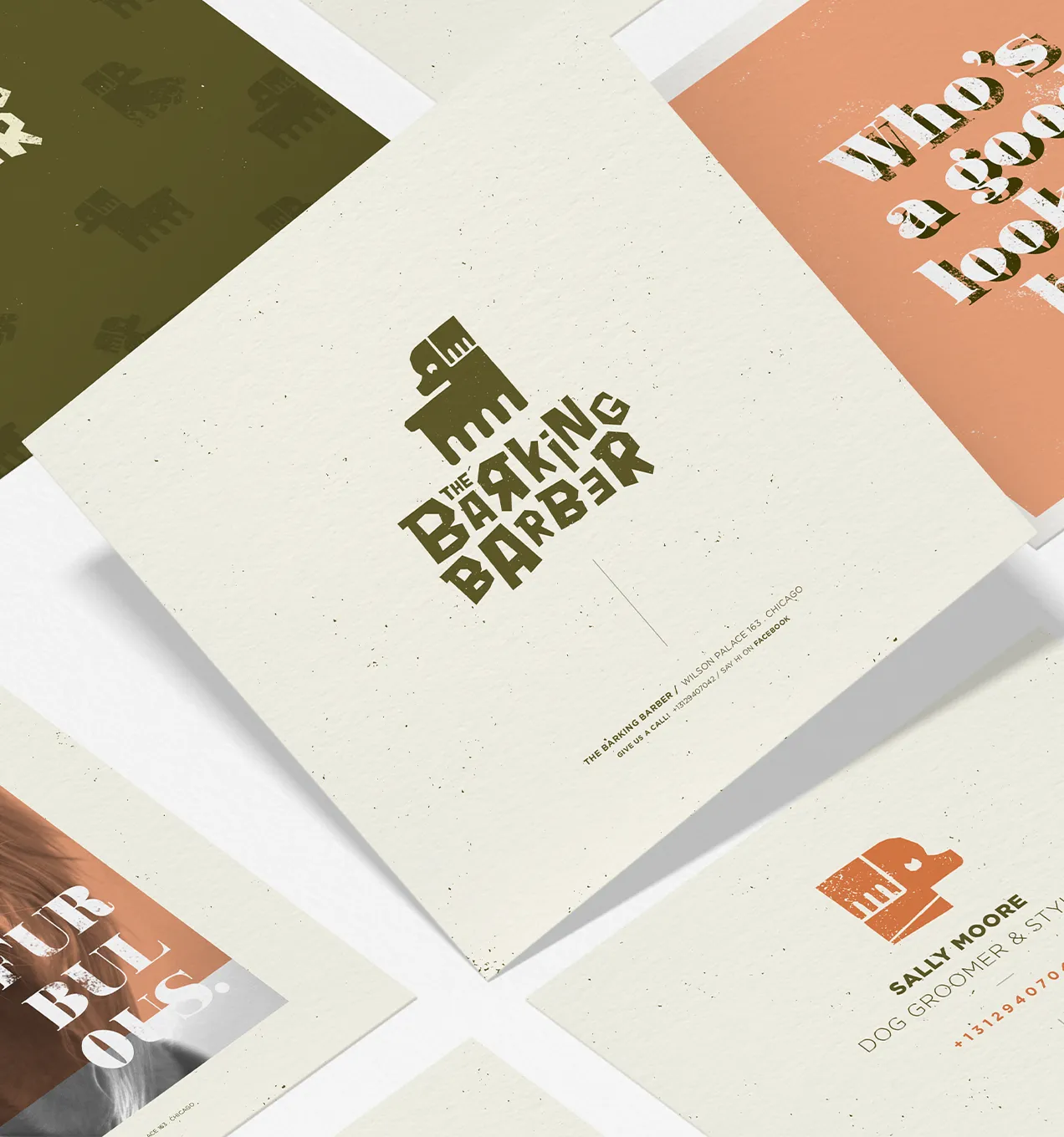 Ein Flyer für einen Hundefriseur mit Schrift und Farben