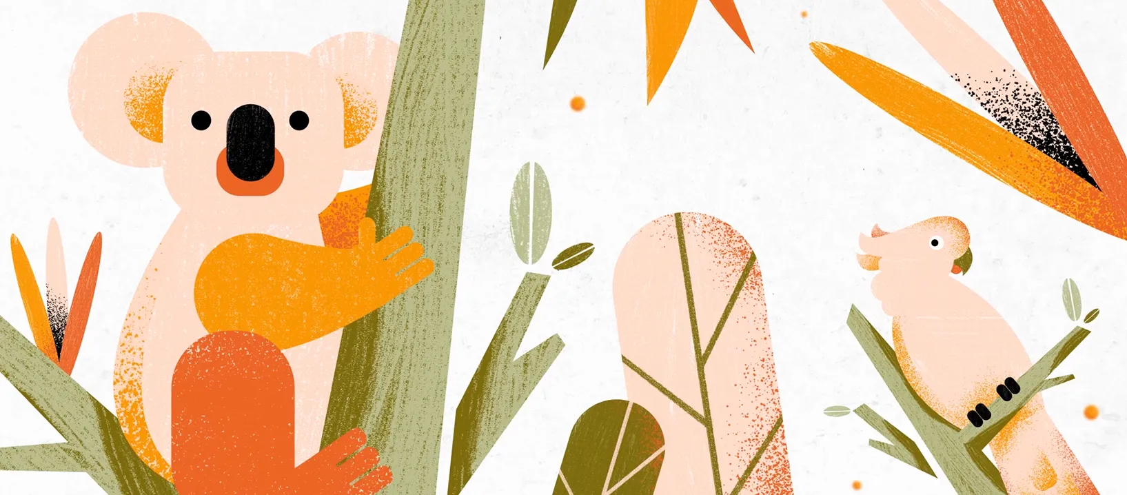 Illustration eines Koalas und eines Kakadus mit Pflanzen